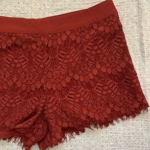 NWT Lace Shorts